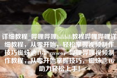 详细教程_哔哩哔哩bilibili教程哔哩哔哩详细教程，从零开始，轻松掌握视频制作技巧蜘蛛池TG：zzcseo，哔哩哔哩视频制作教程，从零开始掌握技巧，蜘蛛池TG助力轻松上手！