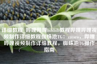详细教程_哔哩哔哩bilibili教程哔哩哔哩视频制作详细教程蜘蛛池TG：zzcseo，哔哩哔哩视频制作详细教程，蜘蛛池TG操作指南