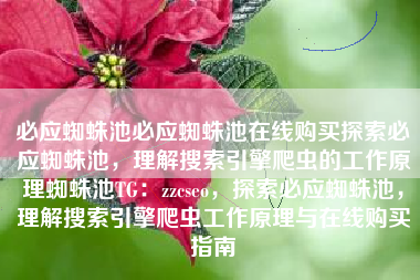 必应蜘蛛池必应蜘蛛池在线购买探索必应蜘蛛池，理解搜索引擎爬虫的工作原理蜘蛛池TG：zzcseo，探索必应蜘蛛池，理解搜索引擎爬虫工作原理与在线购买指南