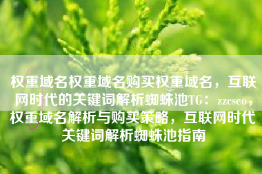 权重域名权重域名购买权重域名，互联网时代的关键词解析蜘蛛池TG：zzcseo，权重域名解析与购买策略，互联网时代关键词解析蜘蛛池指南