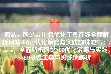 网站seo网站seo排名优化工具在线全面解析网站SEO，优化策略与实践蜘蛛池TG：zzcseo，全面解析网站SEO优化策略与实践，SEO排名工具与蜘蛛池解析