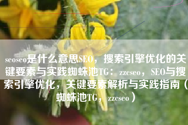 seoseo是什么意思SEO，搜索引擎优化的关键要素与实践蜘蛛池TG：zzcseo，SEO与搜索引擎优化，关键要素解析与实践指南（蜘蛛池TG，zzcseo）