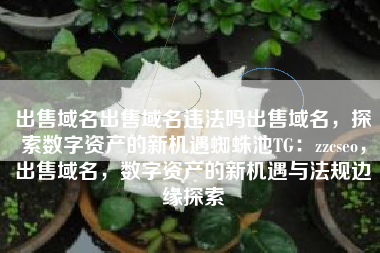 出售域名出售域名违法吗出售域名，探索数字资产的新机遇蜘蛛池TG：zzcseo，出售域名，数字资产的新机遇与法规边缘探索