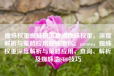蜘蛛权重蜘蛛权重查询蜘蛛权重，深度解析与策略应用蜘蛛池TG：zzcseo，蜘蛛权重深度解析与策略应用，查询、解析及蜘蛛池SEO技巧
