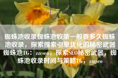 蜘蛛池收录蜘蛛池收录一般要多久蜘蛛池收录，探索搜索引擎优化的秘密武器蜘蛛池TG：zzcseo，探索SEO秘密武器，蜘蛛池收录时间与策略TG，zzcseo