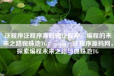 泛程序泛程序源码网泛程序，编程的未来之路蜘蛛池TG：zzcseo，泛程序源码网，探索编程未来之路与蜘蛛池TG