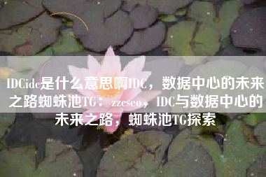 IDCidc是什么意思啊IDC，数据中心的未来之路蜘蛛池TG：zzcseo，IDC与数据中心的未来之路，蜘蛛池TG探索