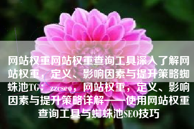 网站权重网站权重查询工具深入了解网站权重，定义、影响因素与提升策略蜘蛛池TG：zzcseo，网站权重，定义、影响因素与提升策略详解——使用网站权重查询工具与蜘蛛池SEO技巧