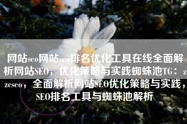 网站seo网站seo排名优化工具在线全面解析网站SEO，优化策略与实践蜘蛛池TG：zzcseo，全面解析网站SEO优化策略与实践，SEO排名工具与蜘蛛池解析