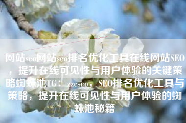网站seo网站seo排名优化工具在线网站SEO，提升在线可见性与用户体验的关键策略蜘蛛池TG：zzcseo，SEO排名优化工具与策略，提升在线可见性与用户体验的蜘蛛池秘籍