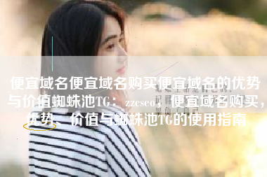 便宜域名便宜域名购买便宜域名的优势与价值蜘蛛池TG：zzcseo，便宜域名购买，优势、价值与蜘蛛池TG的使用指南