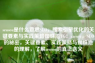 seoseo是什么意思SEO，搜索引擎优化的关键要素与实践策略蜘蛛池TG：zzcseo，SEO的秘密，关键要素、实践策略与蜘蛛池的理解，了解seoseo的真正含义