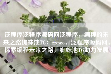 泛程序泛程序源码网泛程序，编程的未来之路蜘蛛池TG：zzcseo，泛程序源码网，探索编程未来之路，蜘蛛池TG助力发展