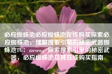 必应蜘蛛池必应蜘蛛池在线购买探索必应蜘蛛池，理解搜索引擎的秘密武器蜘蛛池TG：zzcseo，探索搜索引擎的秘密武器，必应蜘蛛池及其在线购买指南