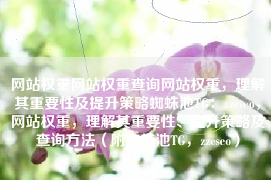 网站权重网站权重查询网站权重，理解其重要性及提升策略蜘蛛池TG：zzcseo，网站权重，理解其重要性、提升策略及查询方法（附蜘蛛池TG，zzcseo）