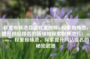 权重蜘蛛池百度权重蜘蛛ip权重蜘蛛池，提升网站排名的新领域探索蜘蛛池TG：zzcseo，权重蜘蛛池，探索提升网站排名的秘密武器