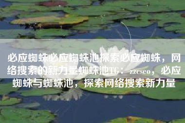 必应蜘蛛必应蜘蛛池探索必应蜘蛛，网络搜索的新力量蜘蛛池TG：zzcseo，必应蜘蛛与蜘蛛池，探索网络搜索新力量