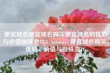 便宜域名便宜域名购买便宜域名的优势与价值蜘蛛池TG：zzcseo，便宜域名购买，优势、价值与蜘蛛池TG
