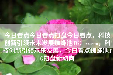今日看点今日看点扫盘今日看点，科技创新引领未来发展蜘蛛池TG：zzcseo，科技创新引领未来发展，今日看点蜘蛛池TG扫盘新动向