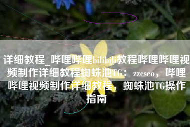 详细教程_哔哩哔哩bilibili教程哔哩哔哩视频制作详细教程蜘蛛池TG：zzcseo，哔哩哔哩视频制作详细教程，蜘蛛池TG操作指南