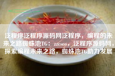 泛程序泛程序源码网泛程序，编程的未来之路蜘蛛池TG：zzcseo，泛程序源码网，探索编程未来之路，蜘蛛池TG助力发展