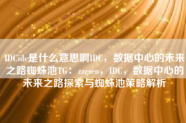 IDCidc是什么意思啊IDC，数据中心的未来之路蜘蛛池TG：zzcseo，IDC，数据中心的未来之路探索与蜘蛛池策略解析