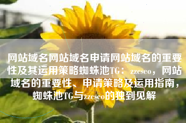 网站域名网站域名申请网站域名的重要性及其运用策略蜘蛛池TG：zzcseo，网站域名的重要性、申请策略及运用指南，蜘蛛池TG与zzcseo的独到见解