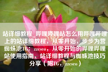 站详细教程_哔哩哔哩站怎么用哔哩哔哩上的站详细教程，从零开始，步步为营蜘蛛池TG：zzcseo，从零开始的哔哩哔哩站使用指南，站详细教程与蜘蛛池技巧分享（附TG，zzcseo）