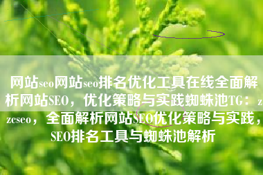 网站seo网站seo排名优化工具在线全面解析网站SEO，优化策略与实践蜘蛛池TG：zzcseo，全面解析网站SEO优化策略与实践，SEO排名工具与蜘蛛池解析