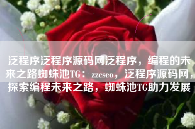泛程序泛程序源码网泛程序，编程的未来之路蜘蛛池TG：zzcseo，泛程序源码网，探索编程未来之路，蜘蛛池TG助力发展
