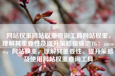 网站权重网站权重查询工具网站权重，理解其重要性及提升策略蜘蛛池TG：zzcseo，网站权重，理解其重要性、提升策略及使用网站权重查询工具