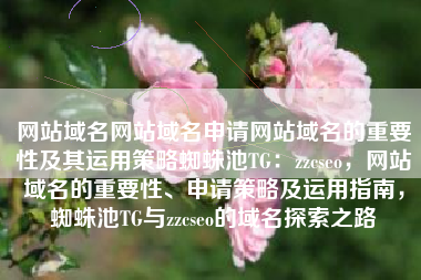 网站域名网站域名申请网站域名的重要性及其运用策略蜘蛛池TG：zzcseo，网站域名的重要性、申请策略及运用指南，蜘蛛池TG与zzcseo的域名探索之路