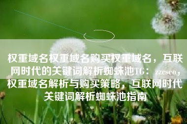 权重域名权重域名购买权重域名，互联网时代的关键词解析蜘蛛池TG：zzcseo，权重域名解析与购买策略，互联网时代关键词解析蜘蛛池指南