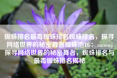 蜘蛛排名最毒蜘蛛排名蜘蛛排名，探寻网络世界的秘密舞者蜘蛛池TG：zzcseo，探寻网络世界的秘密舞者，蜘蛛排名与最毒蜘蛛排名揭秘