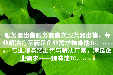服务器出售服务器售卖服务器出售，专业解决方案满足企业需求蜘蛛池TG：zzcseo，专业服务器出售与解决方案，满足企业需求——蜘蛛池TG，zzcseo