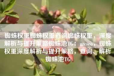 蜘蛛权重蜘蛛权重查询蜘蛛权重，深度解析与提升策略蜘蛛池TG：zzcseo，蜘蛛权重深度解析与提升策略，查询、解析蜘蛛池TG