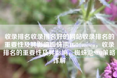 收录排名收录排名好的网站收录排名的重要性及其影响蜘蛛池TG：zzcseo，收录排名的重要性及其影响，蜘蛛池SEO策略详解