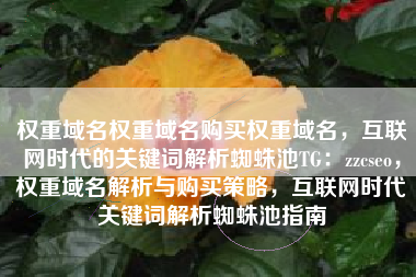 权重域名权重域名购买权重域名，互联网时代的关键词解析蜘蛛池TG：zzcseo，权重域名解析与购买策略，互联网时代关键词解析蜘蛛池指南