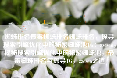 蜘蛛排名最毒蜘蛛排名蜘蛛排名，探寻搜索引擎优化中的秘密蜘蛛池TG：zzcseo，揭秘搜索引擎优化中的秘密蜘蛛池，最毒蜘蛛排名与探寻TG，zzcseo之道