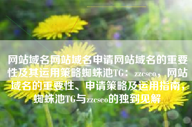 网站域名网站域名申请网站域名的重要性及其运用策略蜘蛛池TG：zzcseo，网站域名的重要性、申请策略及运用指南，蜘蛛池TG与zzcseo的独到见解