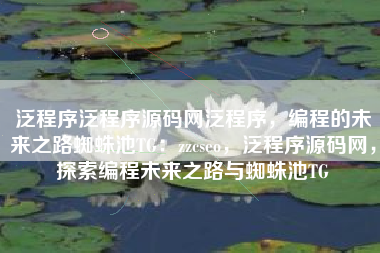 泛程序泛程序源码网泛程序，编程的未来之路蜘蛛池TG：zzcseo，泛程序源码网，探索编程未来之路与蜘蛛池TG