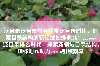 泛目录泛目录排名代发泛目录时代，探索目录结构的新领域蜘蛛池TG：zzcseo，泛目录排名时代，探索新领域目录结构，蜘蛛池TG助力zzcseo引领潮流