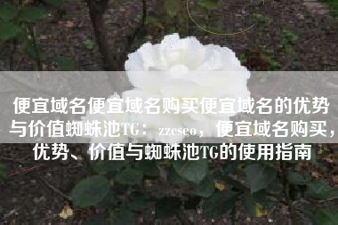 便宜域名便宜域名购买便宜域名的优势与价值蜘蛛池TG：zzcseo，便宜域名购买，优势、价值与蜘蛛池TG的使用指南