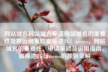 网站域名网站域名申请网站域名的重要性及其运用策略蜘蛛池TG：zzcseo，网站域名的重要性、申请策略及运用指南，蜘蛛池TG与zzcseo的独到见解