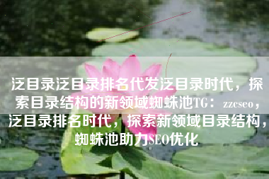 泛目录泛目录排名代发泛目录时代，探索目录结构的新领域蜘蛛池TG：zzcseo，泛目录排名时代，探索新领域目录结构，蜘蛛池助力SEO优化