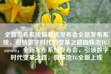 全新发布系统新系统发布会全新发布系统，引领数字时代的变革之路蜘蛛池TG：zzcseo，全新发布系统发布会，引领数字时代变革之路，蜘蛛池TG全新上线