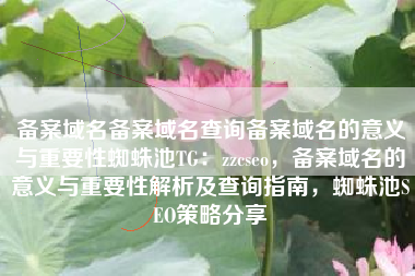 备案域名备案域名查询备案域名的意义与重要性蜘蛛池TG：zzcseo，备案域名的意义与重要性解析及查询指南，蜘蛛池SEO策略分享