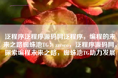 泛程序泛程序源码网泛程序，编程的未来之路蜘蛛池TG：zzcseo，泛程序源码网，探索编程未来之路，蜘蛛池TG助力发展