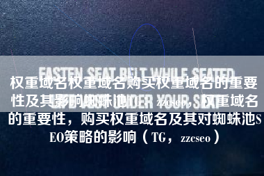 权重域名权重域名购买权重域名的重要性及其影响蜘蛛池TG：zzcseo，权重域名的重要性，购买权重域名及其对蜘蛛池SEO策略的影响（TG，zzcseo）