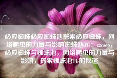 必应蜘蛛必应蜘蛛池探索必应蜘蛛，网络爬虫的力量与影响蜘蛛池TG：zzcseo，必应蜘蛛与蜘蛛池，网络爬虫的力量与影响，探索蜘蛛池TG的秘密